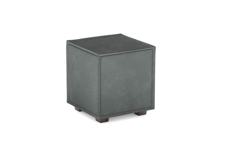 Эвита серый