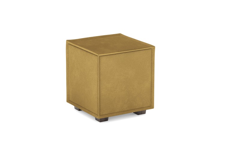 Эвита горчичный