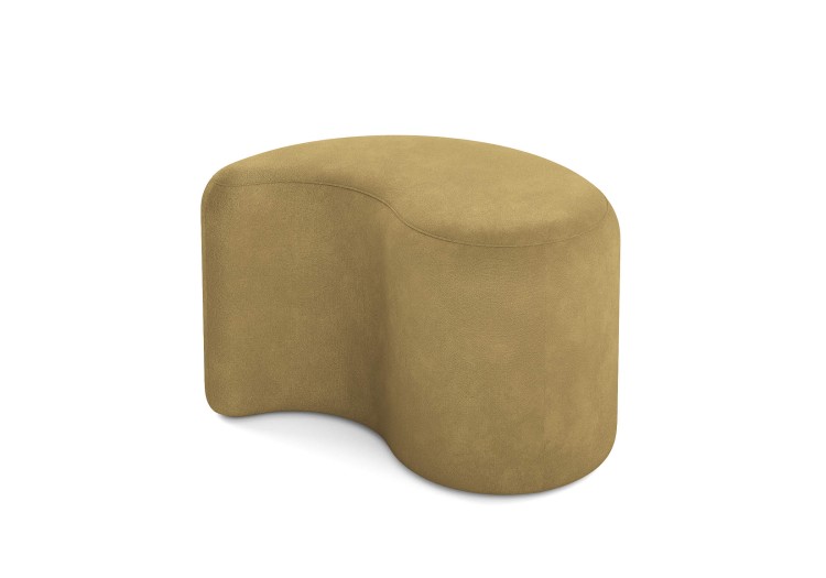 Эвита горчичный