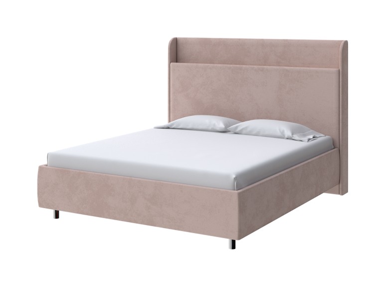 Teddy Шоколадный бисквит