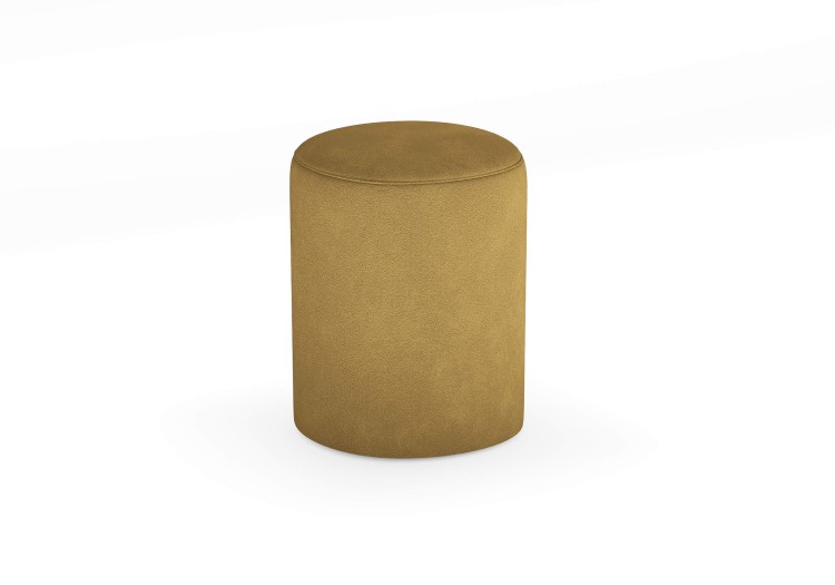 Эвита горчичный