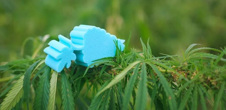 Матрас Mr.Mattress Arhimed Sativa L 80 х 190 см