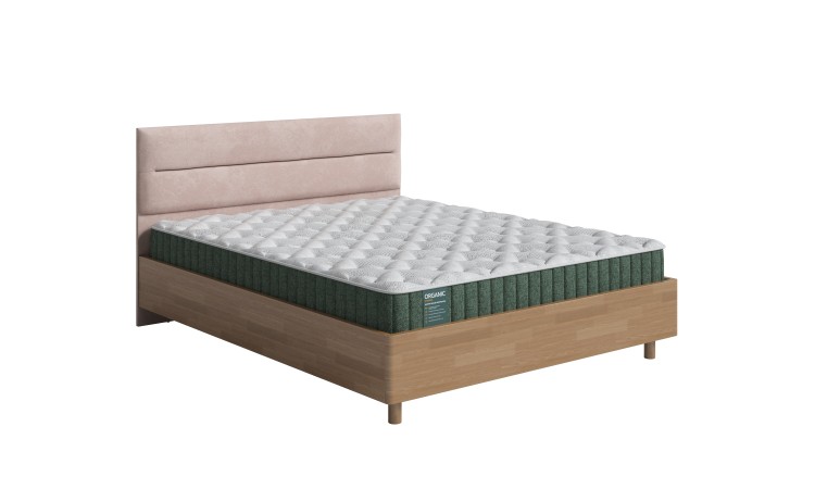 Антик (сосна)/Teddy Шоколадный бисквит