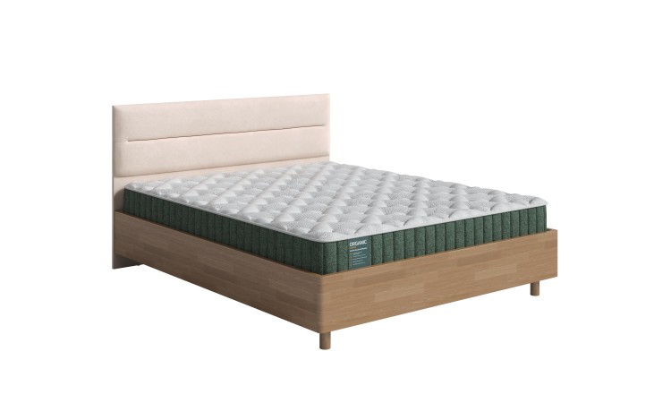 Антик (сосна)/Teddy Тауп