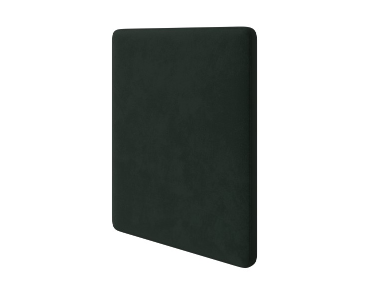 Laska 19 Папоротник