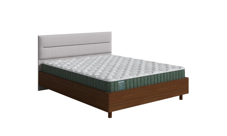 Мокко (сосна)/Nice Кремовый