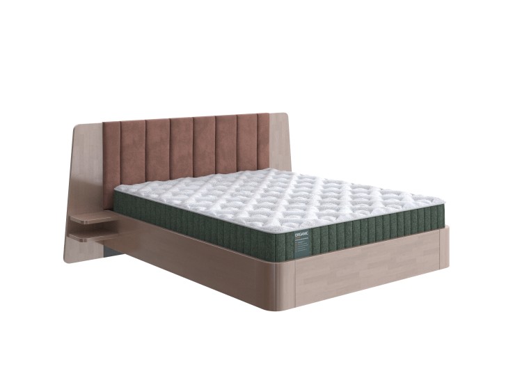 Береза Антик/Selfie Древесная роза