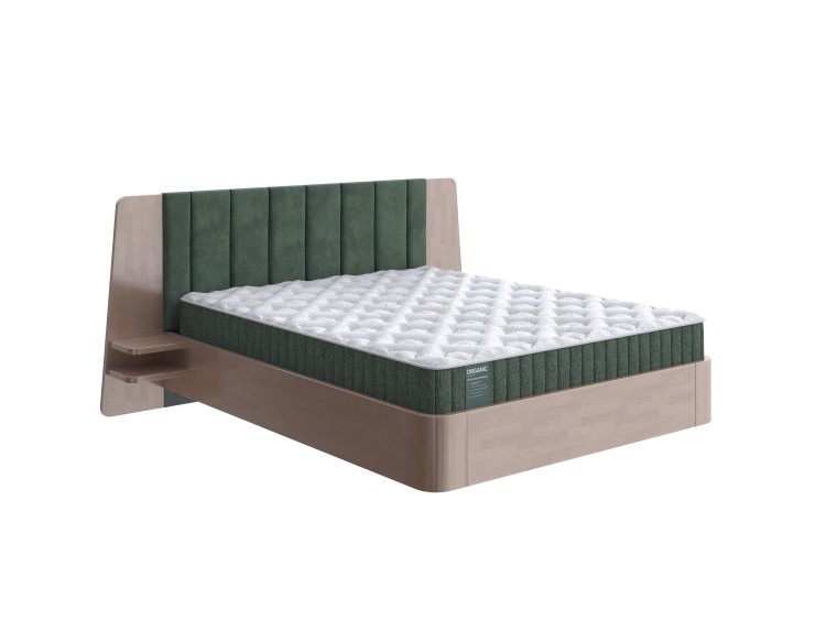 Береза Антик/Selfie Лесной мох