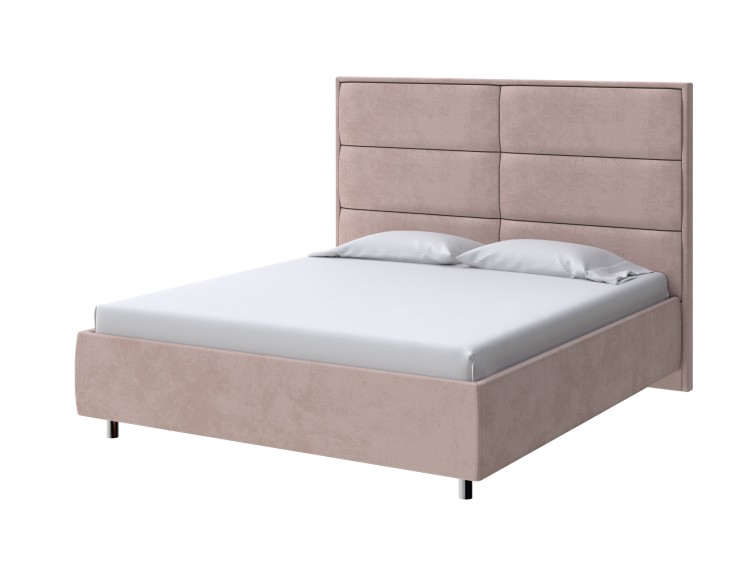 Teddy Шоколадный бисквит