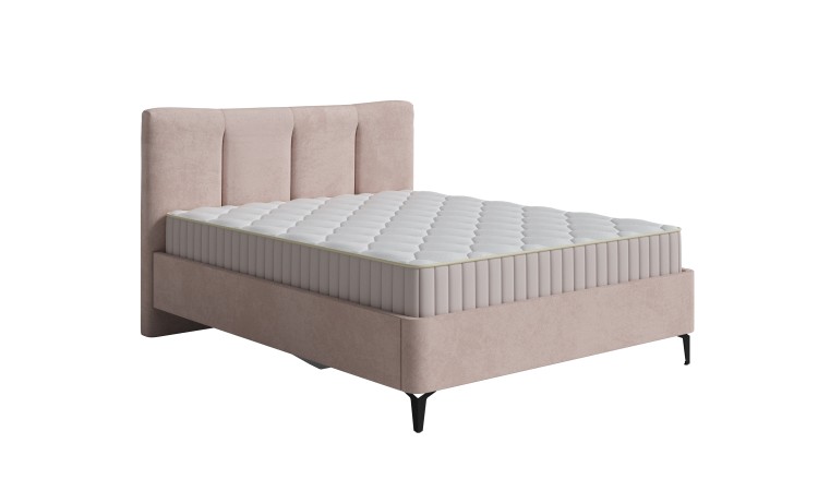 Teddy 014 Шоколадный бисквит