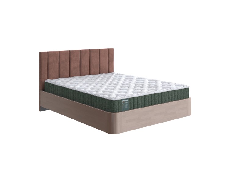 Береза Антик/Selfie Древесная роза