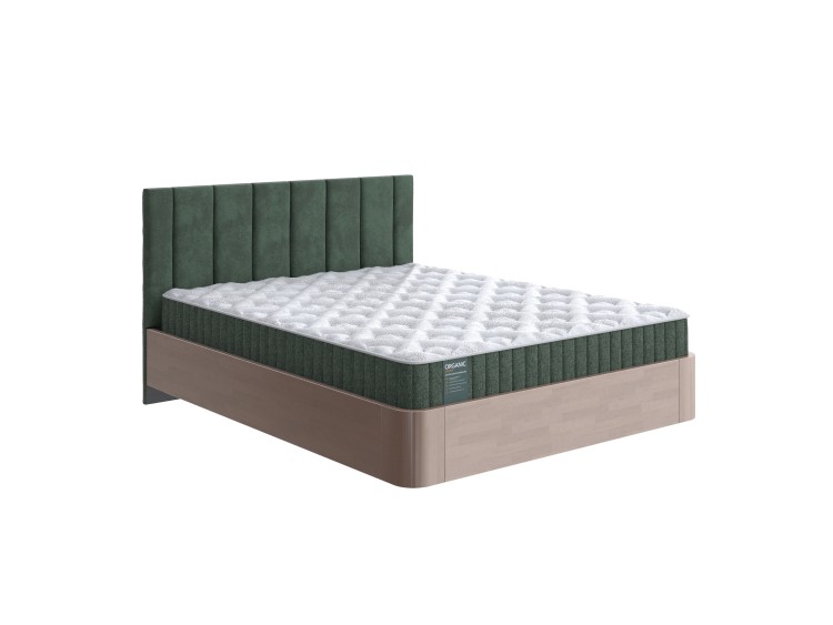 Береза Антик/Selfie Лесной мох