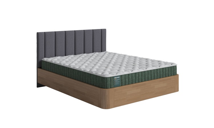 Антик (сосна)/Mauro Камыш