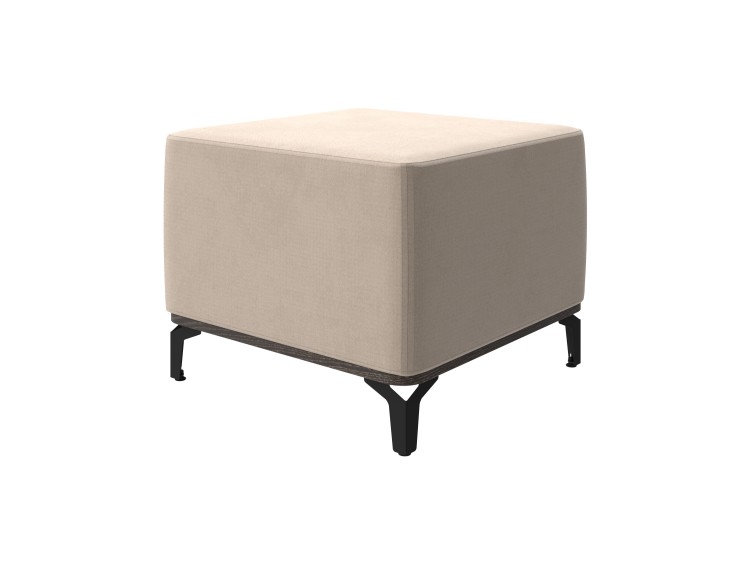 Кантербери/Дива 302 Латте