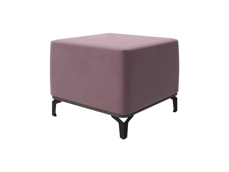 Кантербери/Дива 321 Вяленая слива