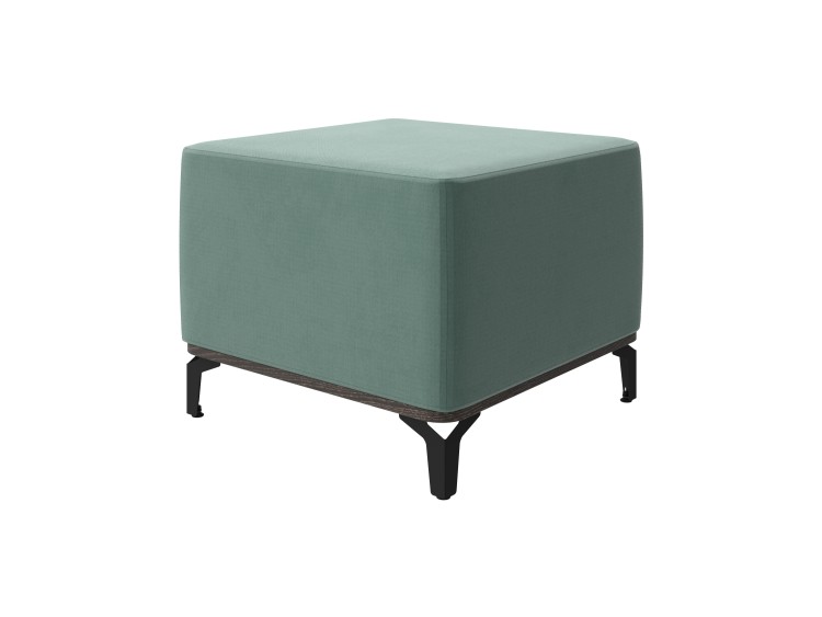 Кантербери/Дива 324 Дикая мята