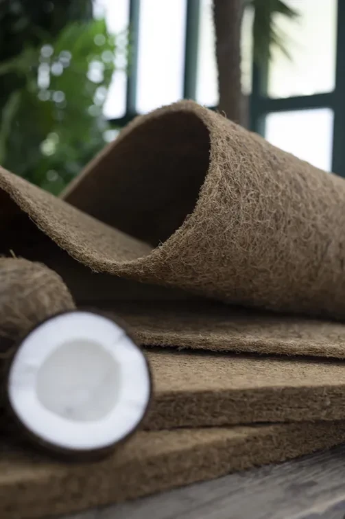 Матрас Dreamline Hard 6 90 х 190 см