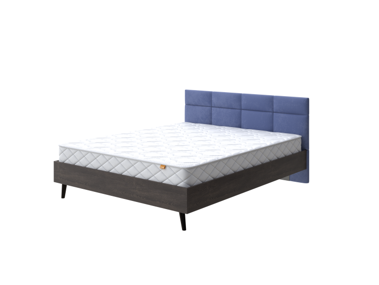 Дуб Кантербери/Casa Сапфировый