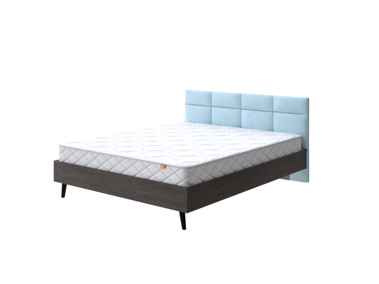 Дуб Кантербери/Teddy Морозная свежесть