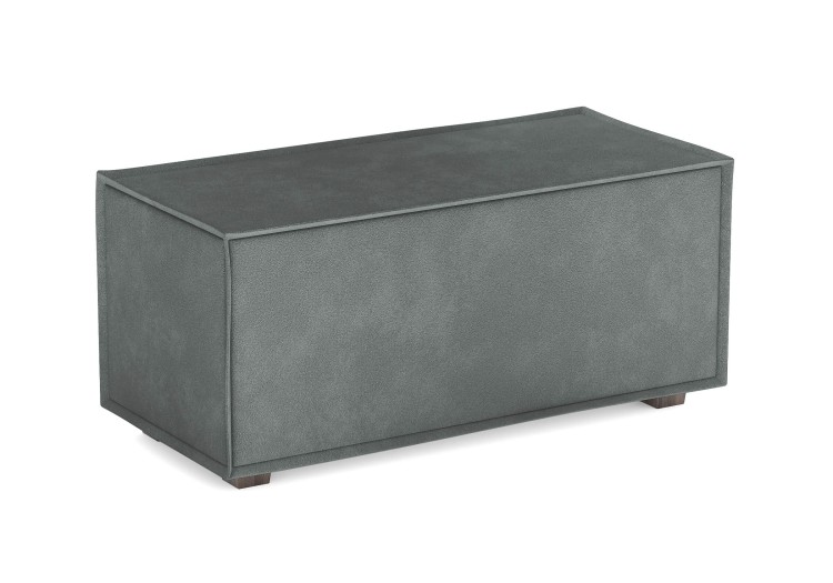 Эвита серый