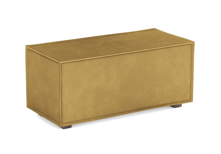 Эвита горчичный