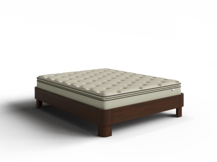 Береза Мокко