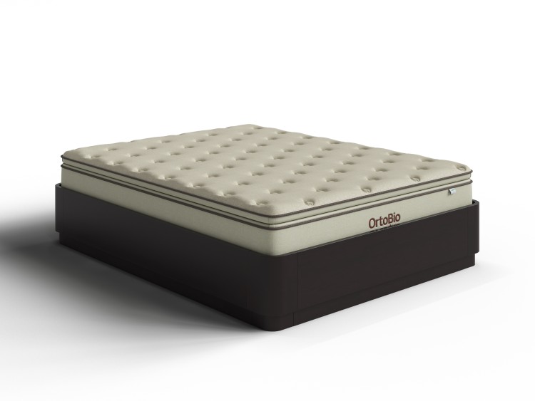 Венге (береза)