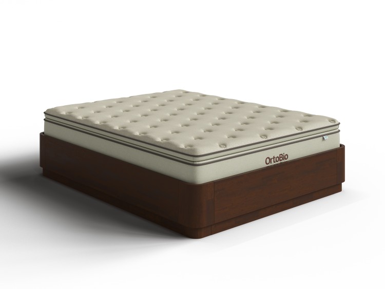 Мокко (береза)