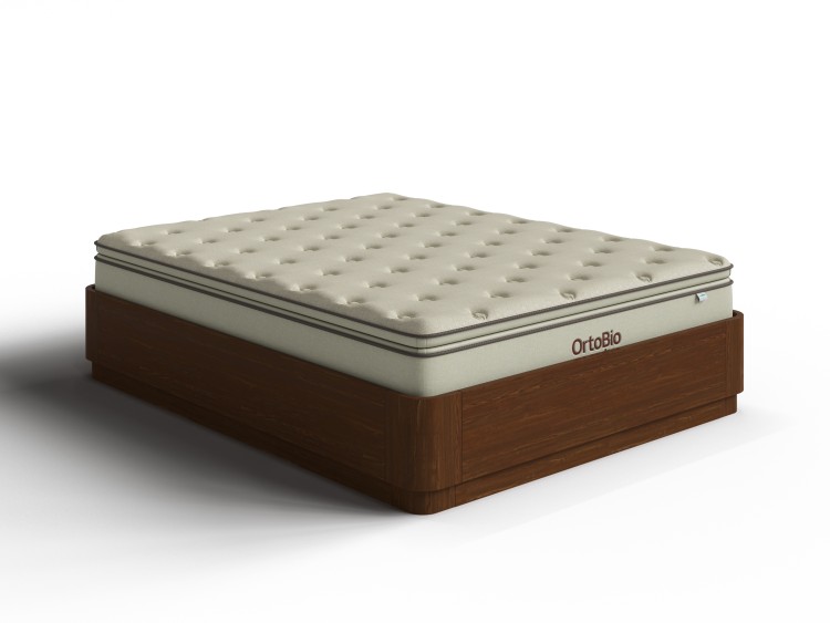 Мокко (сосна)