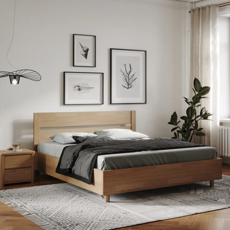 Сосна Антик