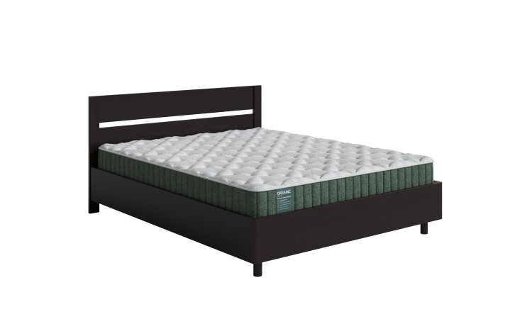 Береза (Венге)