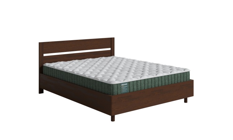 Береза (Мокко)