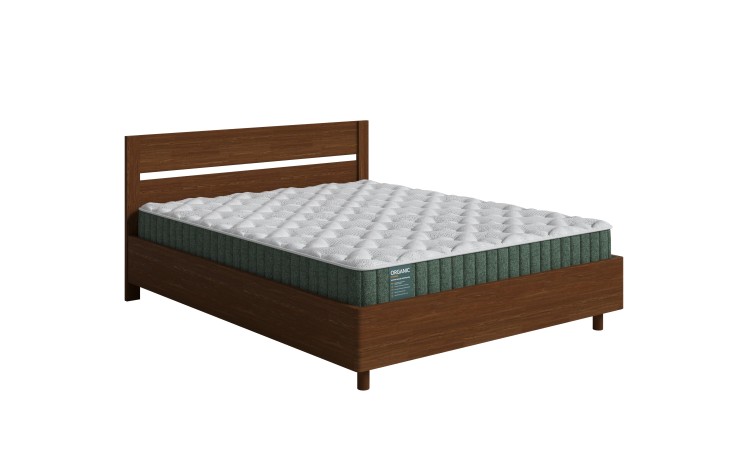 Сосна (Мокко)